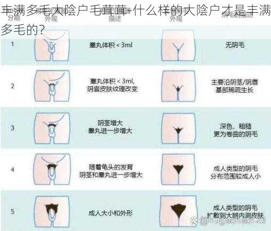 丰满多毛大陰户毛茸茸-什么样的大陰户才是丰满多毛的？