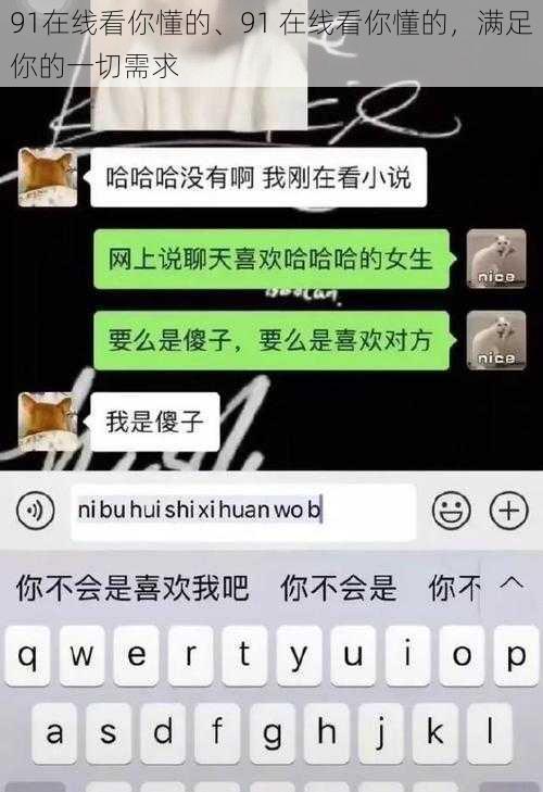 91在线看你懂的、91 在线看你懂的，满足你的一切需求