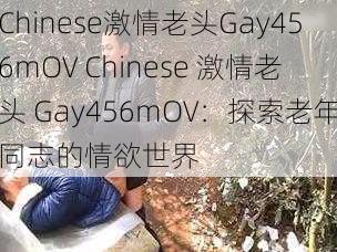 Chinese激情老头Gay456mOV Chinese 激情老头 Gay456mOV：探索老年同志的情欲世界