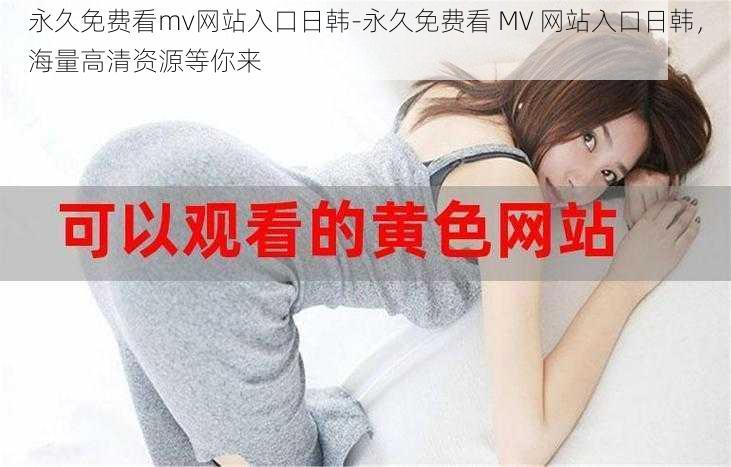 永久免费看mv网站入口日韩-永久免费看 MV 网站入口日韩，海量高清资源等你来