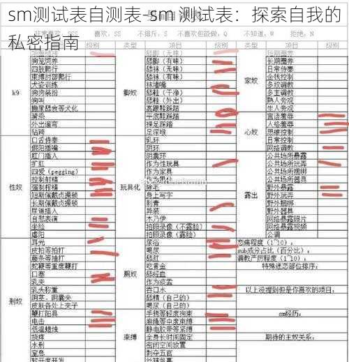 sm测试表自测表-sm 测试表：探索自我的私密指南