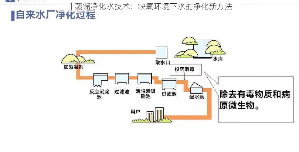 非蒸馏净化水技术：缺氧环境下水的净化新方法