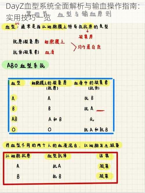 DayZ血型系统全面解析与输血操作指南：实用技巧一览