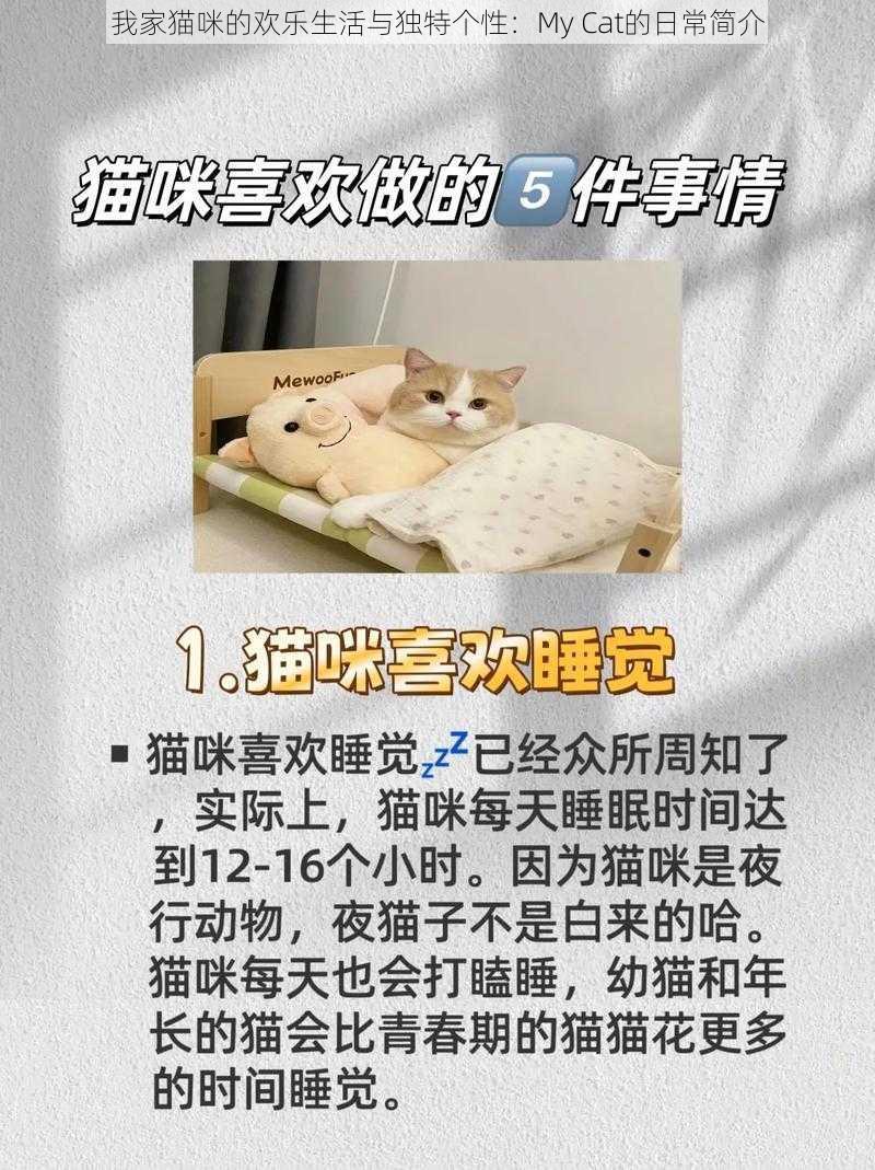 我家猫咪的欢乐生活与独特个性：My Cat的日常简介