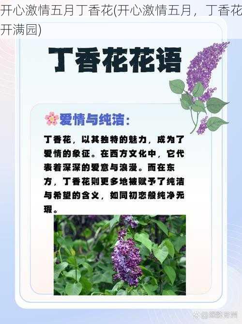 开心激情五月丁香花(开心激情五月，丁香花开满园)