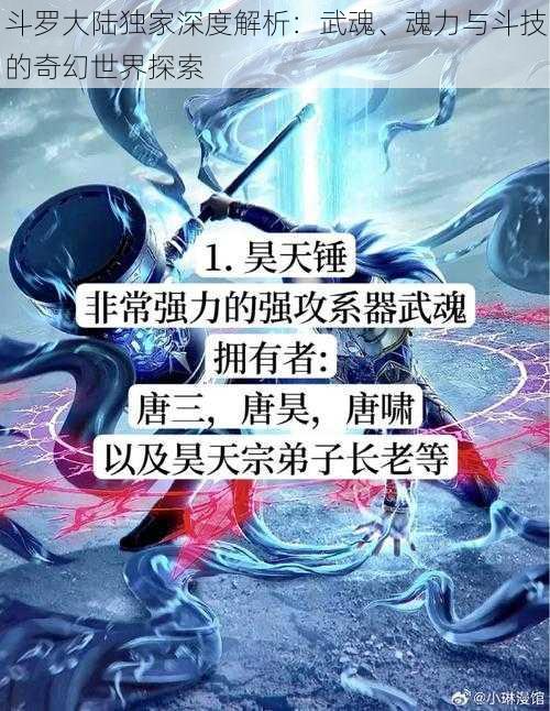 斗罗大陆独家深度解析：武魂、魂力与斗技的奇幻世界探索