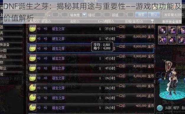 DNF诞生之芽：揭秘其用途与重要性——游戏内功能及价值解析