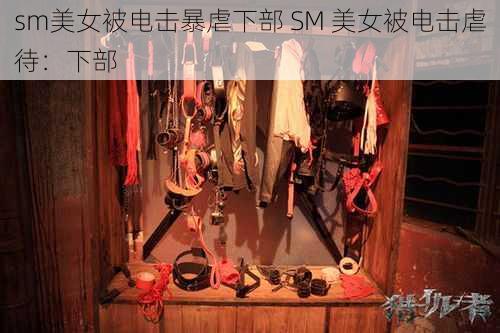 sm美女被电击暴虐下部 SM 美女被电击虐待：下部