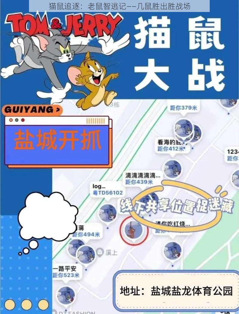 猫鼠追逐：老鼠智逃记——几鼠胜出胜战场