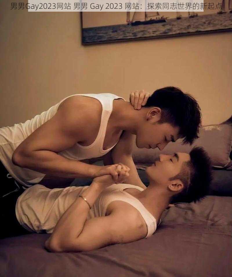 男男Gay2023网站 男男 Gay 2023 网站：探索同志世界的新起点