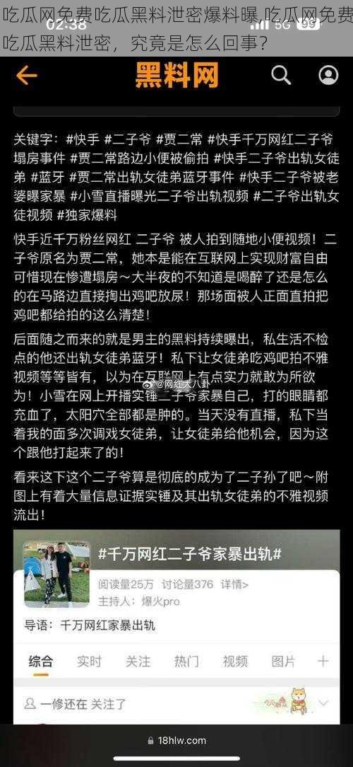 吃瓜网免费吃瓜黑料泄密爆料曝,吃瓜网免费吃瓜黑料泄密，究竟是怎么回事？