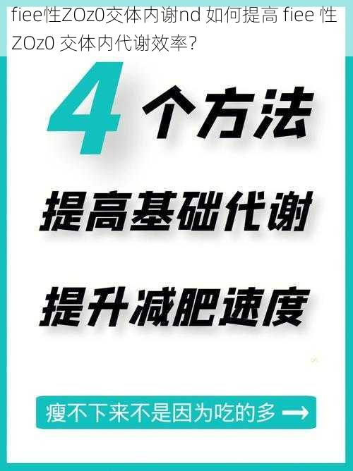 fiee性ZOz0交体内谢nd 如何提高 fiee 性 ZOz0 交体内代谢效率？