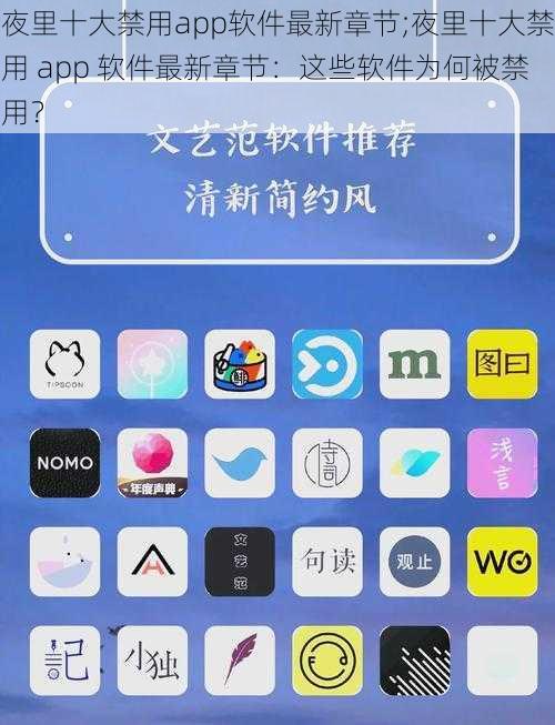 夜里十大禁用app软件最新章节;夜里十大禁用 app 软件最新章节：这些软件为何被禁用？