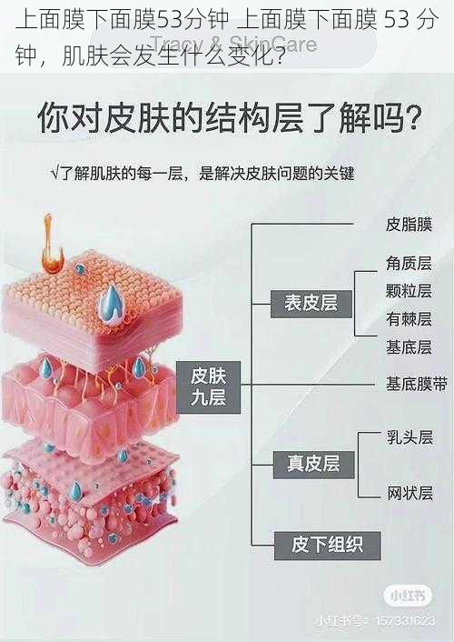 上面膜下面膜53分钟 上面膜下面膜 53 分钟，肌肤会发生什么变化？