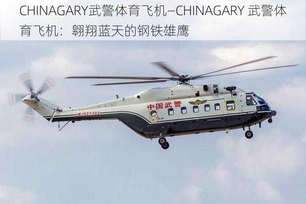 CHINAGARY武警体育飞机—CHINAGARY 武警体育飞机：翱翔蓝天的钢铁雄鹰