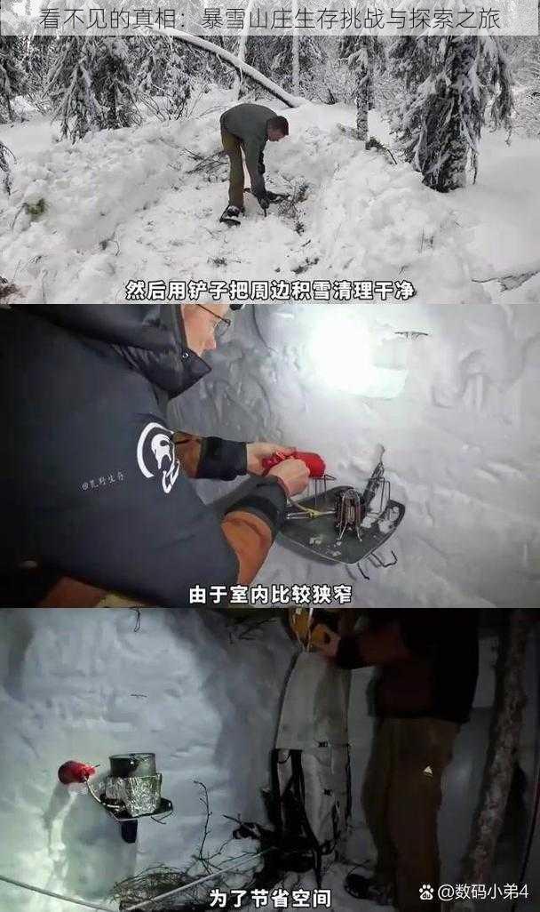 看不见的真相：暴雪山庄生存挑战与探索之旅