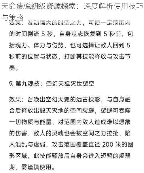 天命传说初级资源探索：深度解析使用技巧与策略