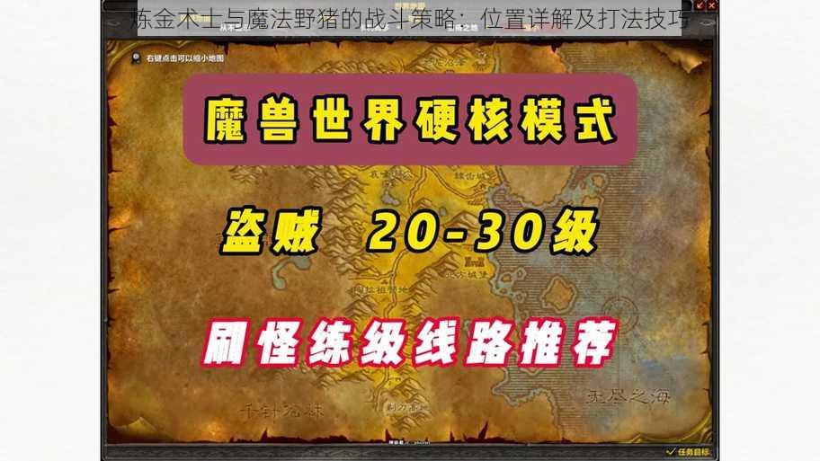 炼金术士与魔法野猪的战斗策略：位置详解及打法技巧