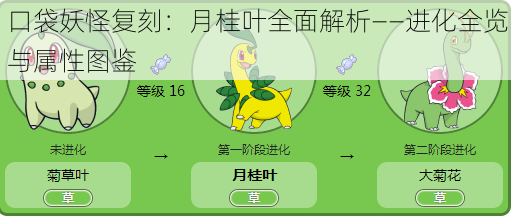口袋妖怪复刻：月桂叶全面解析——进化全览与属性图鉴