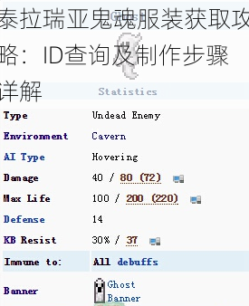 泰拉瑞亚鬼魂服装获取攻略：ID查询及制作步骤详解