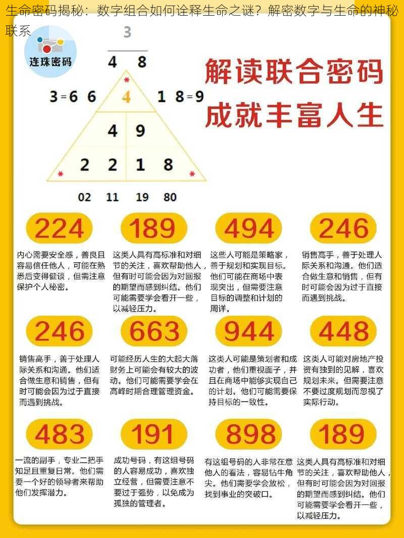 生命密码揭秘：数字组合如何诠释生命之谜？解密数字与生命的神秘联系