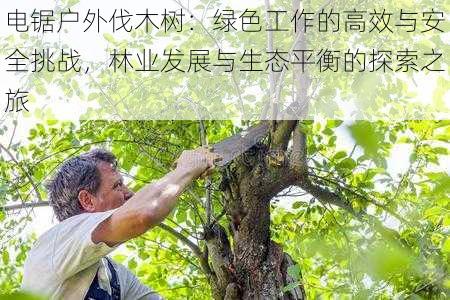 电锯户外伐木树：绿色工作的高效与安全挑战，林业发展与生态平衡的探索之旅