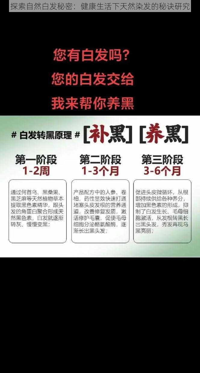 探索自然白发秘密：健康生活下天然染发的秘诀研究