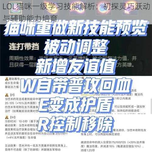 LOL猫咪一级学习技能解析：初探灵巧跃动与辅助能力培育