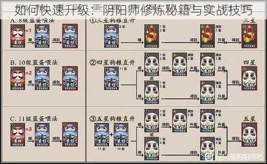 如何快速升级：阴阳师修炼秘籍与实战技巧