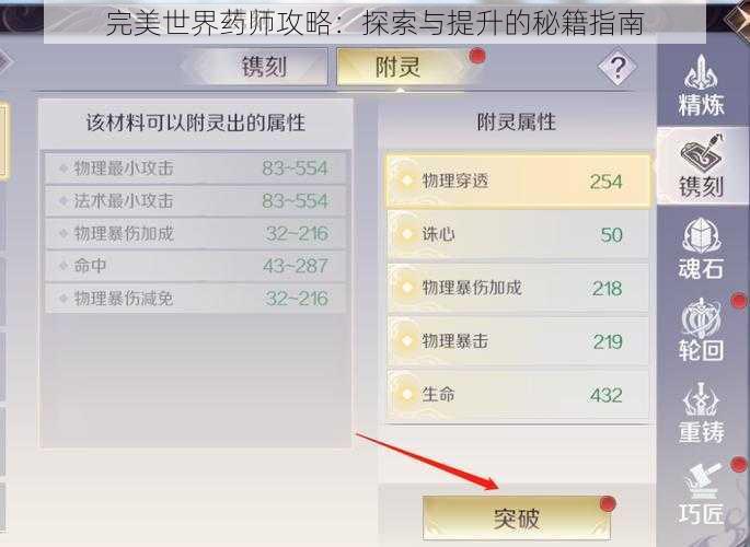完美世界药师攻略：探索与提升的秘籍指南